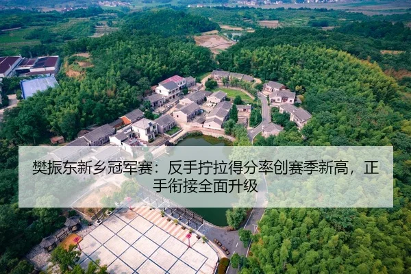 樊振东新乡冠军赛：反手拧拉得分率创赛季新高，正手衔接全面升级