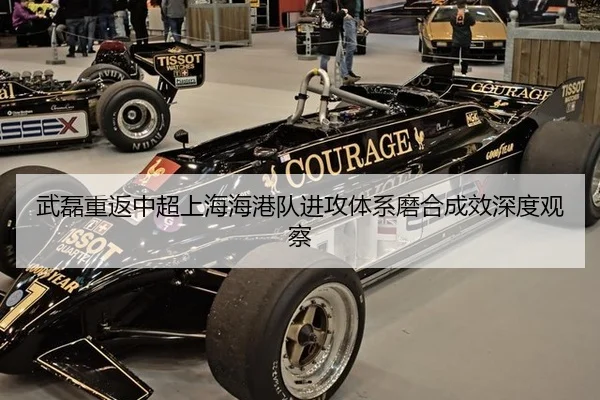 wu-lei-chong-fan-zhong-chao-shang-hai-hai-gang-dui-jin-gong-ti-xi-mo-he-cheng-xiao-shen-du-guan-cha-3-923.jpg