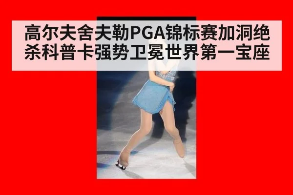 高尔夫舍夫勒PGA锦标赛加洞绝杀科普卡强势卫冕世界第一宝座