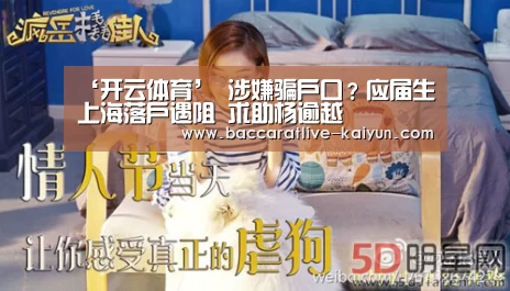 开云篮球