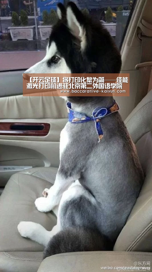 开云足球
